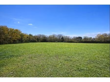 dernière opportunité à quint-fonsegrives !