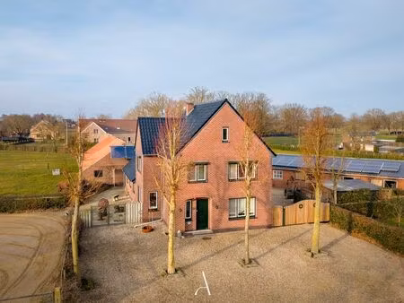 maison à vendre à tongerlo (ll3tt) - arteo immo | zimmo