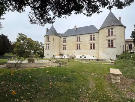 vente manoir 20 pièces