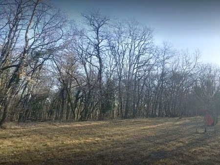 vente manoir 30 pièces