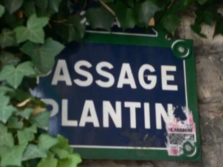 pyrenees / parc de belleville