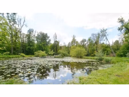 vente manoir 30 pièces