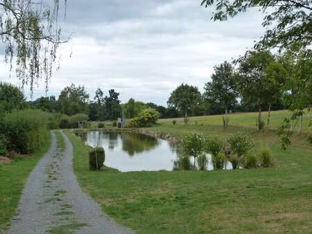 vente terrain au pertre (35370) : à vendre / 8380m² le pertre