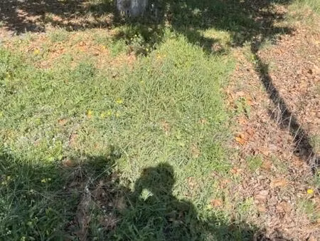 terrain 293 m² martigues