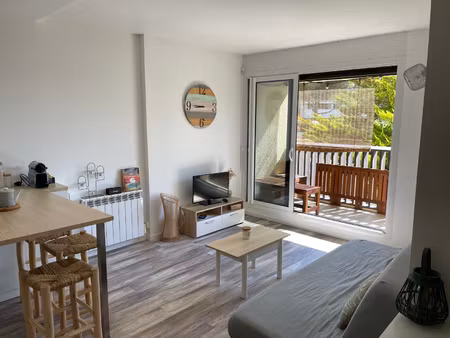 appartement t2 29m2 entièrement rénové - exposition sud - vu