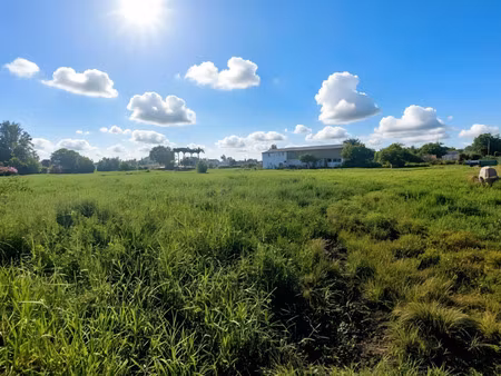 terrain à vendre sainte anne 3441m2 285 600€