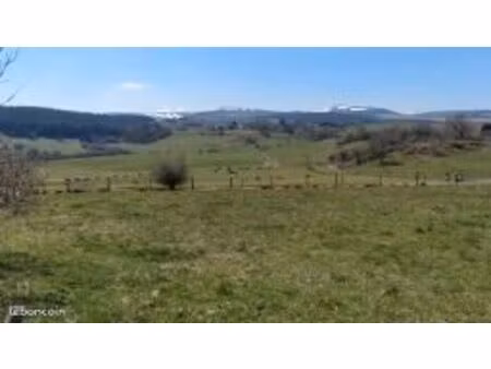 terrain agricole de 4hectares