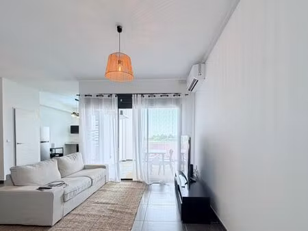 appartement meublé 2 pièces 58 m²