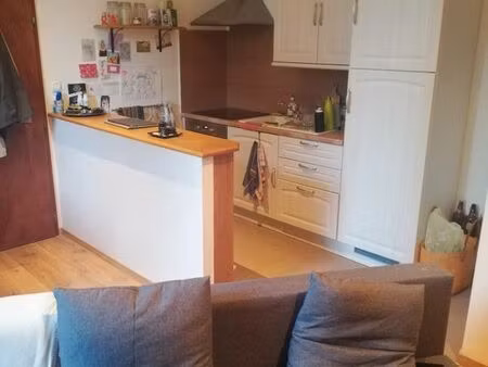 appartement meublé a vieux-thann