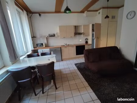 beau t1 bis 39m2 dans vieux lyon