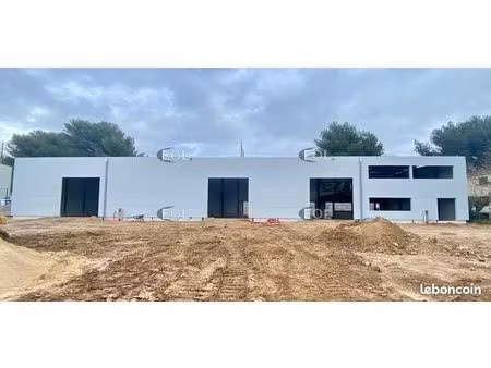 local d'activité 700 m²