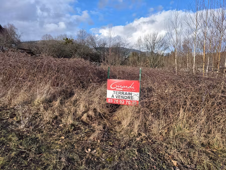 terrain constructible de 10 ares giromagny un cadre idéal