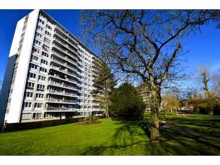 appartement une chambre