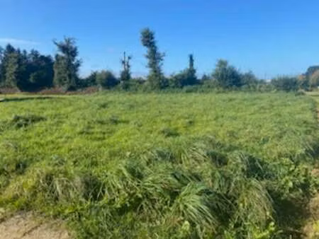vente terrain à briec (29510) : à vendre / briec