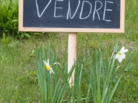 vente terrain 9727 m² pont-sur-yonne (89140)