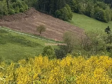 vente terrain 1643 m² à ambert (63600)  23 700 €