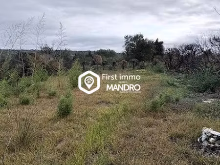 vente terrain 582 m² à estagel (66310)  3 000 €