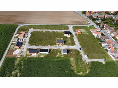 vente terrain 487 m² à féchain (59247)  53 600 €