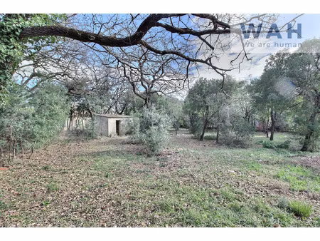 vente terrain constructible 700 m2 viabilise - viols-le-fort