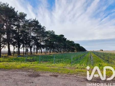 vente terrain agricole 1 140 000 m²