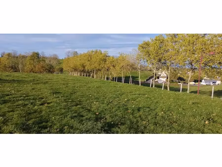 vente terrain 10000 m² à mauriac (15200)  117 700 €