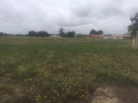 vente terrain 874 m² à le sequestre (81990)  97 500 €