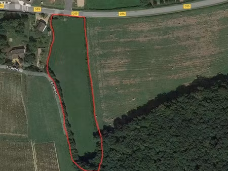 vente terrain 9344 m² à lugny (71260)  108 000 €