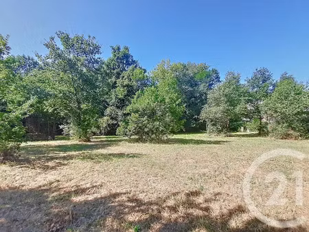 vente terrain à batir 6300 m² à auterive (31190)  269 000 €