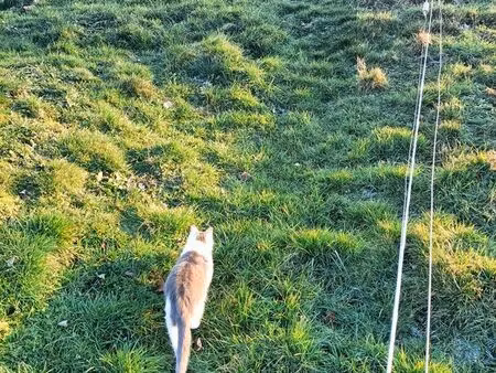 exploitation à loué