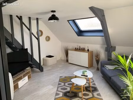 appartement duplex 65m2 centre ville