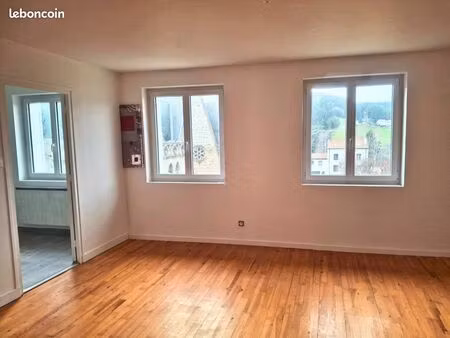 f1 40 m² refait à neuf  hypercentre et trés lumineux