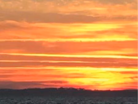 maison avec jardin et bbq