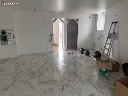 appartement t3 entièrement rénové – prestations haut de gamme – 50 m² – garage double