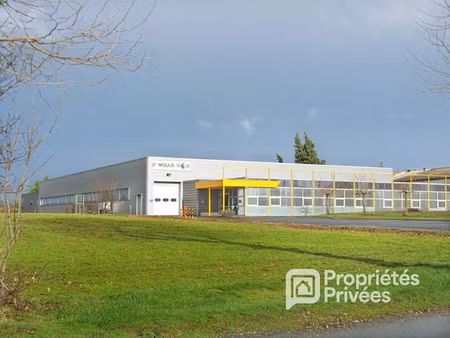vente locaux professionnels 1200 m² à montredon-labessonnié (81360)  325 000 €