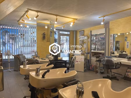 vente locaux professionnels 55 m² à ille-sur-têt (66130)  13 500 €