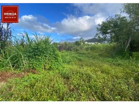 exclusivité - terrain à vendre 320 m2 constructible secteur sainte-anne ( cambourg) 97437