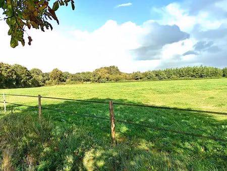 vente terrain 170000 m² à riaillé (44440)  352 000 €