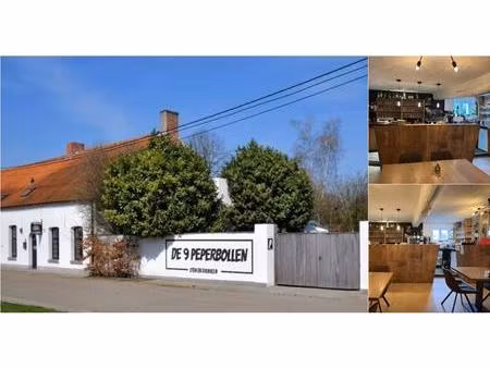 surface commerciale à louer à vlierbesstraat 27 herentals (rbv28951)