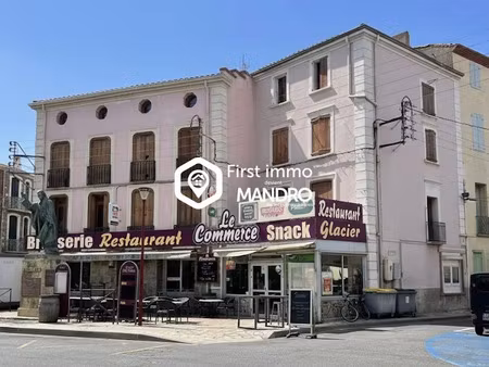 vente immeuble 371 m² à estagel (66310)  315 000 €