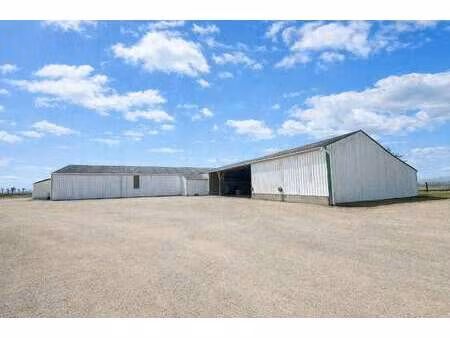 vente bureaux et commerces à plumelec (56420) : à vendre / 1369m² plumelec