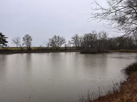 a vendre - terrain de loisirs avec étang et île à mosnay