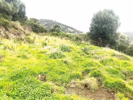 osani – terrain à bâtir 2 134 m² – environnement naturel