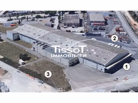 immobilier professionnel à louer vendargues