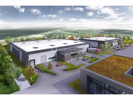 local d'activités a louer