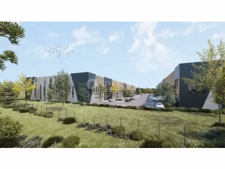 activite neuf a louer