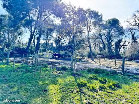 à louer – terrain pour chevaux (env. 5000 m²)