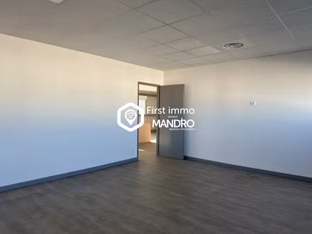 location locaux professionnels 0 pièces 100 m² à ille-sur-têt (66130)  1 000 €