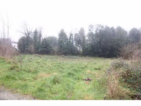 belle ile en mer - vente terrain de 1330 m² avec permis accordé et purgé - rare