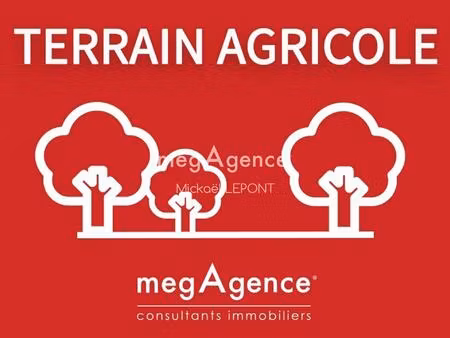 bâtiment agricole avec terrain (15 hectares)