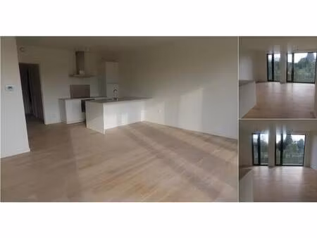 appartement à louer à prins leopoldlaan 20 berchem (rbv29019)